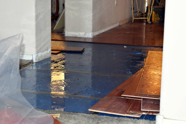 Professional Water Damage Restoration technician working in Clifford, MI